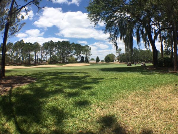 Orlando Home 982435