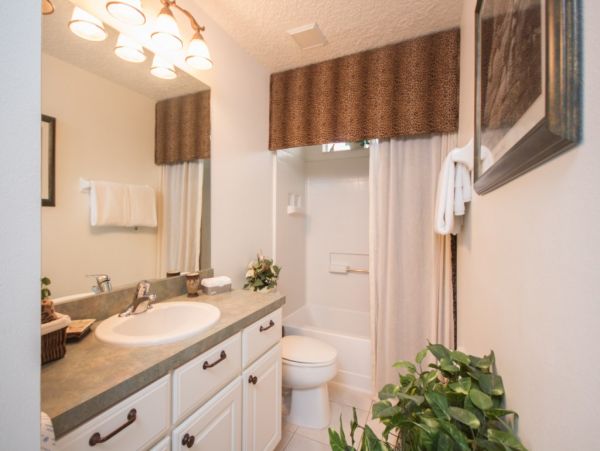 Orlando Home 982449