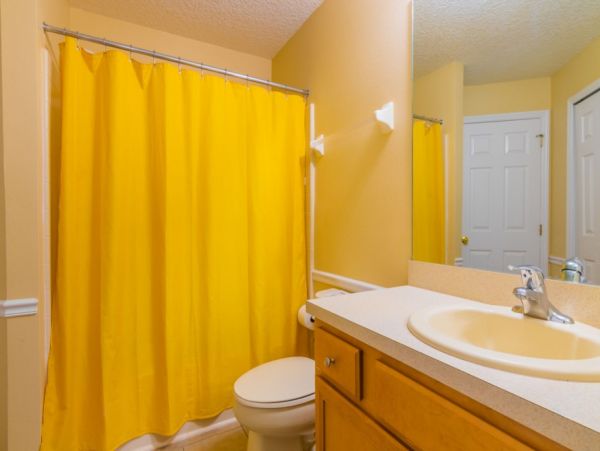 Orlando Home 982461