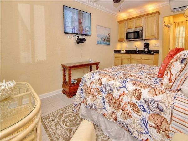 St. Petersburg Home 982499