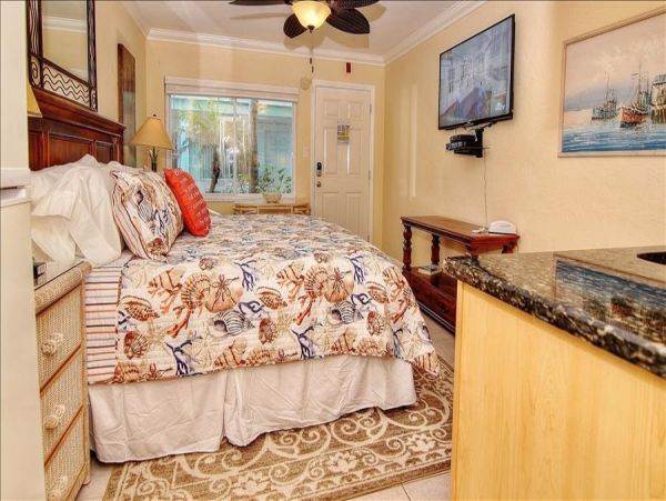 St. Petersburg Home 982499