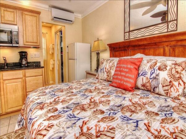 St. Petersburg Home 982499