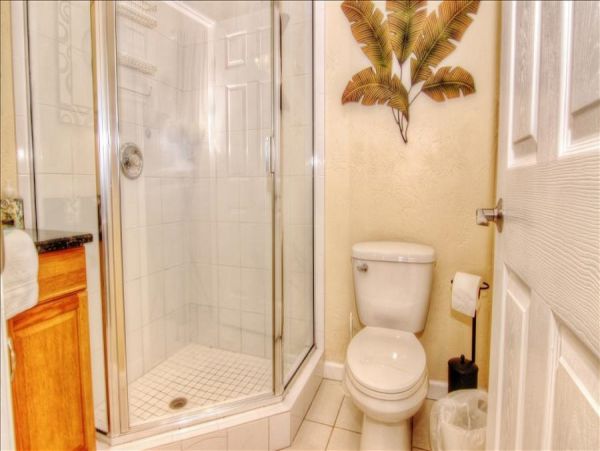 St. Petersburg Home 982499