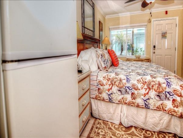 St. Petersburg Home 982499