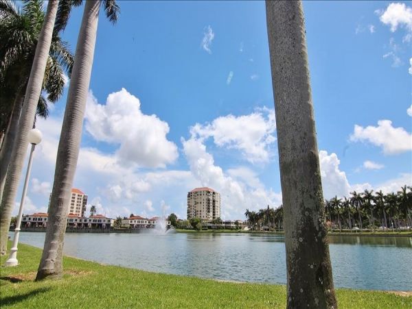 St. Petersburg Condo 982502