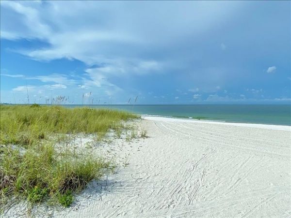 Treasure Island Condo 982503
