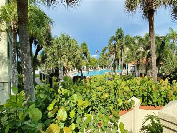 Treasure Island Condo 982503