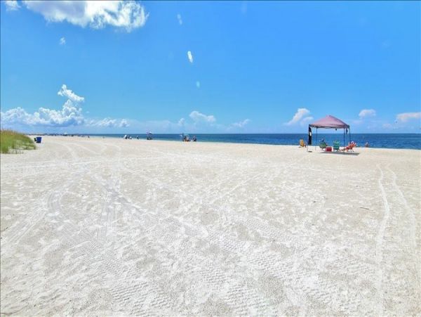 Treasure Island Condo 982509