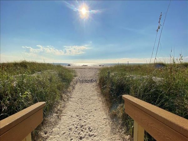 Treasure Island Condo 982512