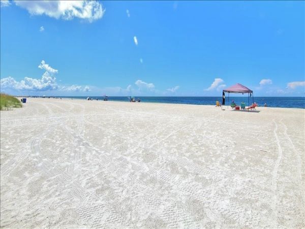 Treasure Island Condo 982513