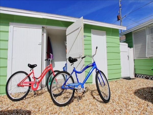 Treasure Island Condo 982514