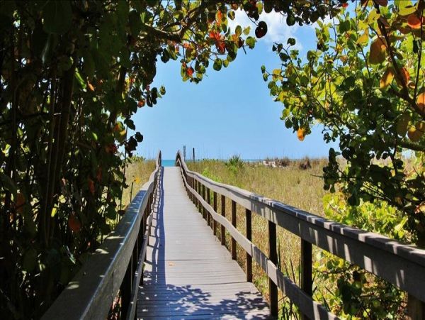 Treasure Island Condo 982514