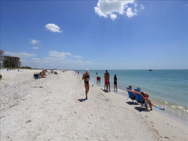 Treasure Island Condo 982514
