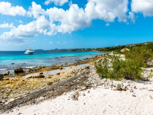 Bonaire Home 982518