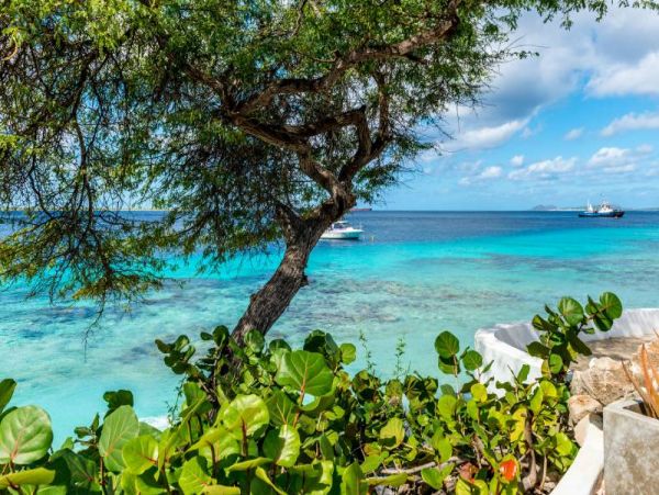 Bonaire Condo 982524