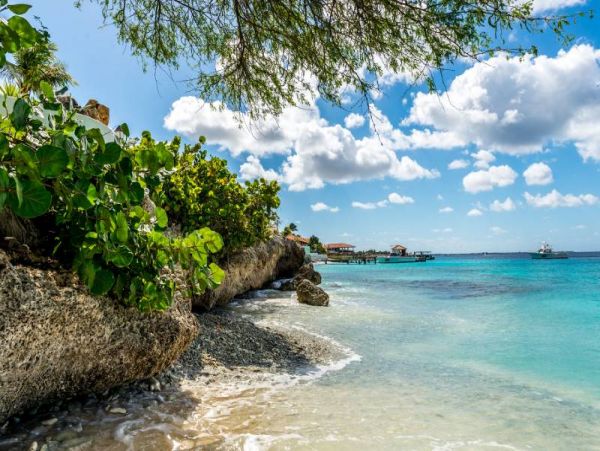 Bonaire Condo 982524