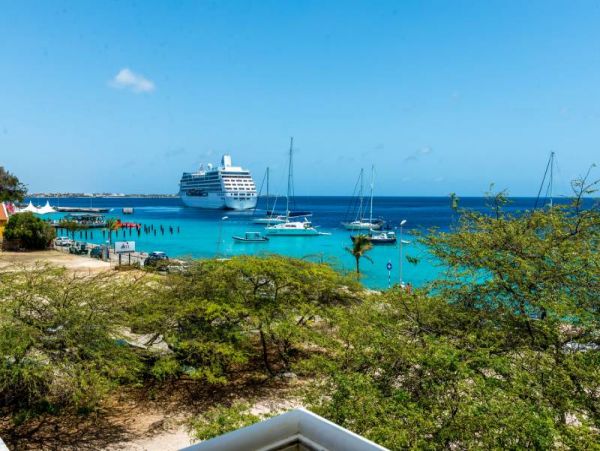 Bonaire Condo 982529