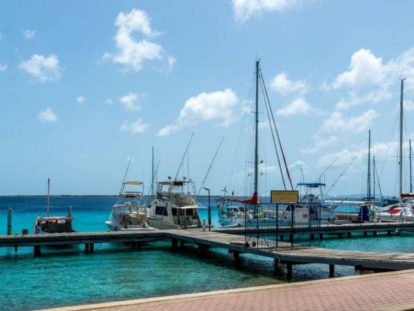 Bonaire Condo 982529