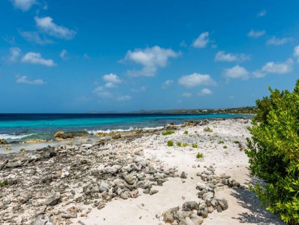 Bonaire Home 982531