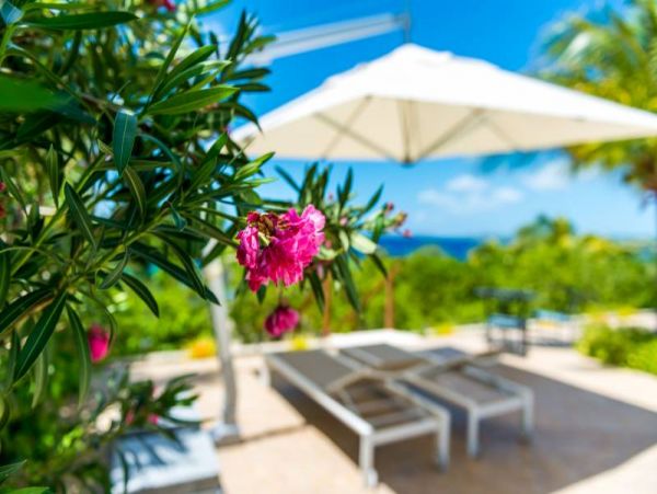 Bonaire Home 982533