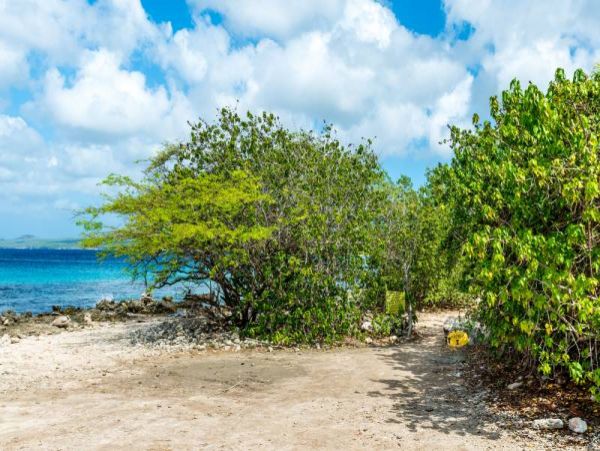 Bonaire Home 982533