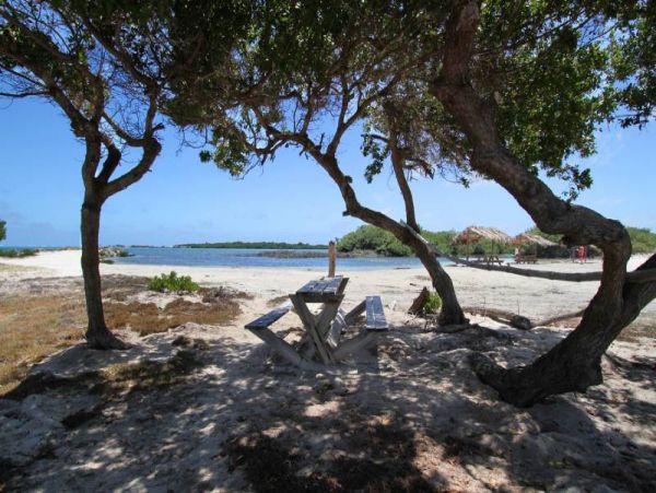 Bonaire Home 982540