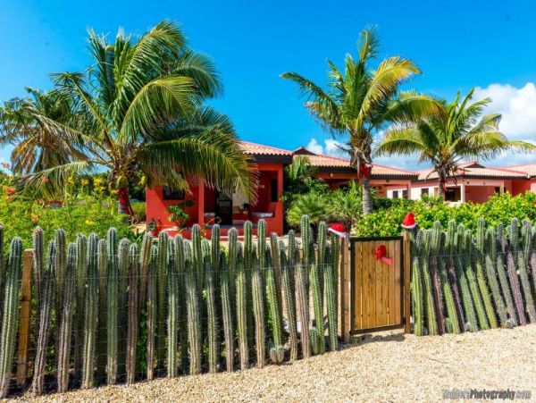 Bonaire Home 982541
