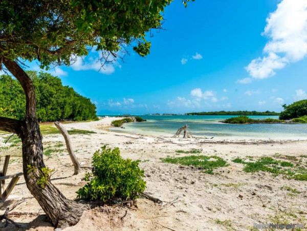 Bonaire Home 982541