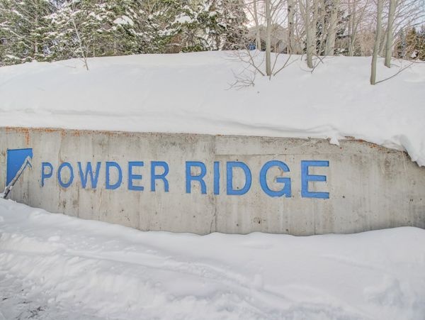 Alta Condo 982542