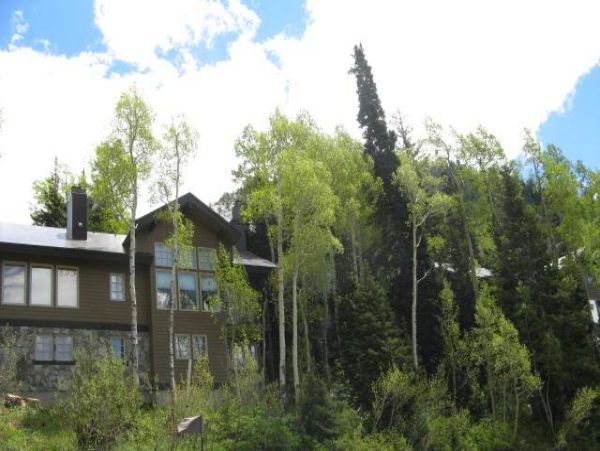 Alta Condo 982543