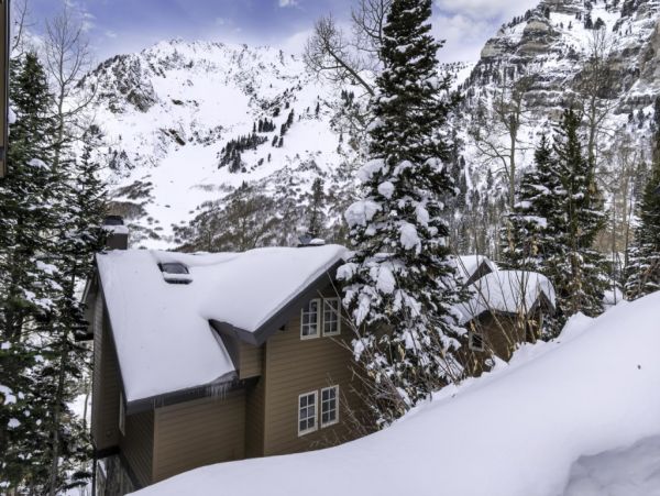 Alta Condo 982543