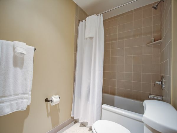 Alta Condo 982544