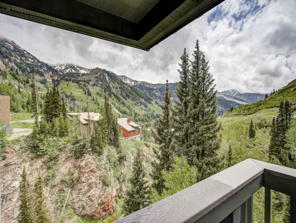 Alta Condo 982544