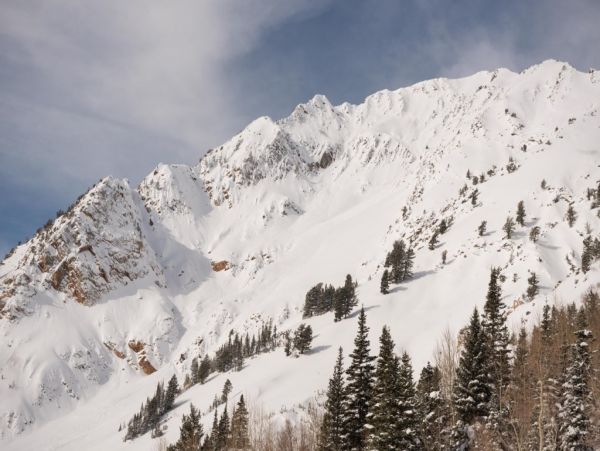 Alta Condo 982545
