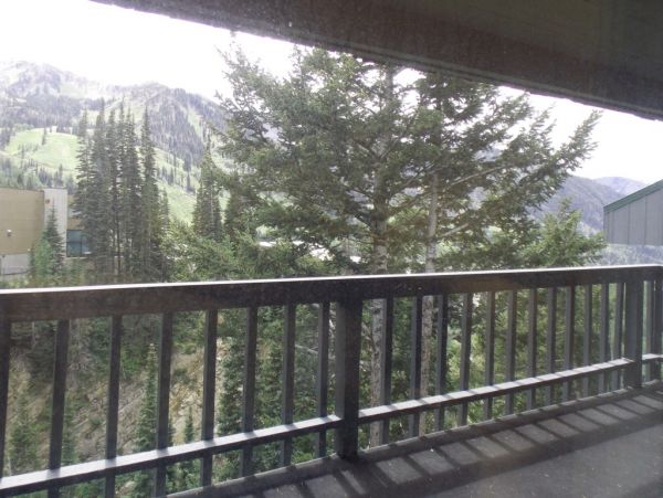 Alta Condo 982549
