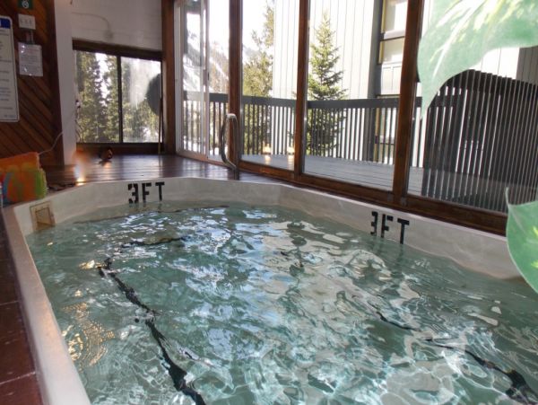 Alta Condo 982549