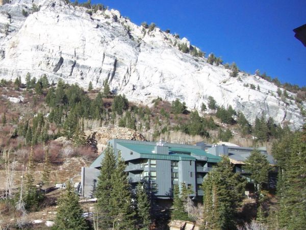 Alta Condo 982549