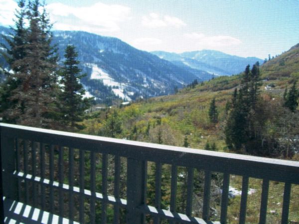 Alta Condo 982551