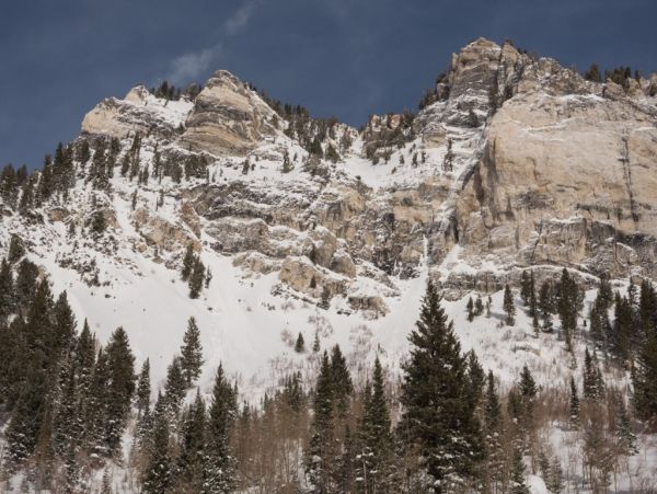 Alta Condo 982551