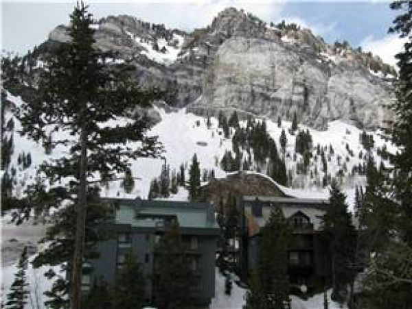 Alta Condo 982551
