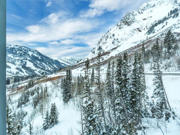Alta Condo 982552