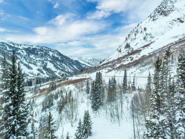 Alta Condo 982552