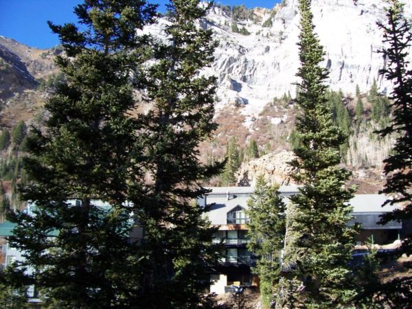 Alta Condo 982556