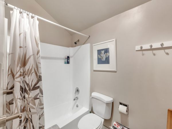 Alta Condo 982557
