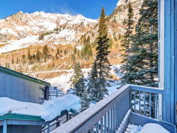 Alta Condo 982557