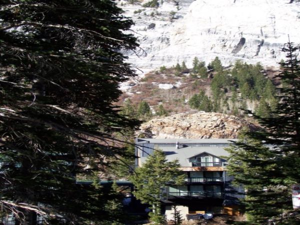 Alta Condo 982557