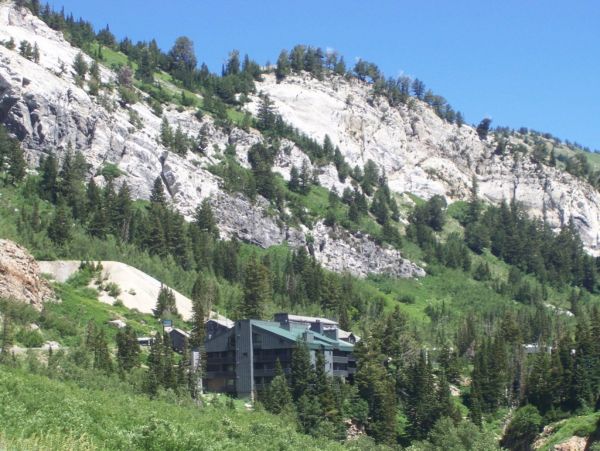 Alta Condo 982557
