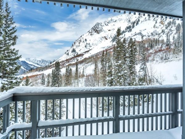 Alta Condo 982558