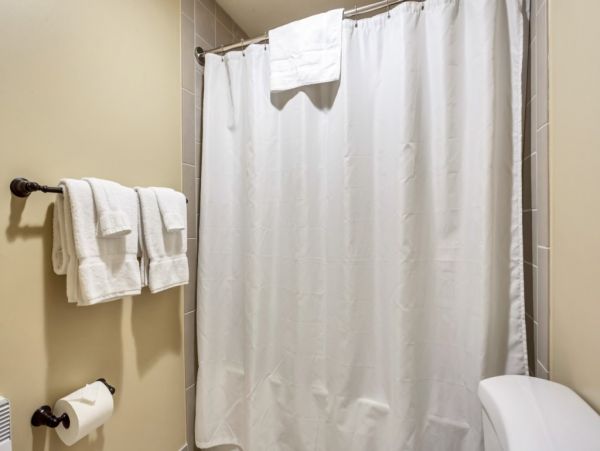 Alta Condo 982558