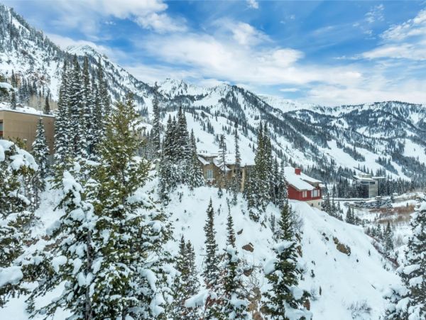 Alta Condo 982558
